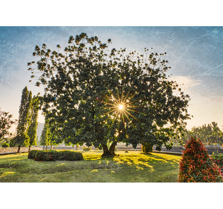 Wall mural nature sunny tree landscape - TenStickers