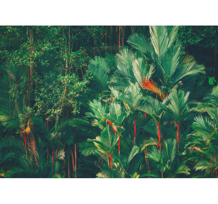 Jungle Morning Forest Wall Mural - TenStickers