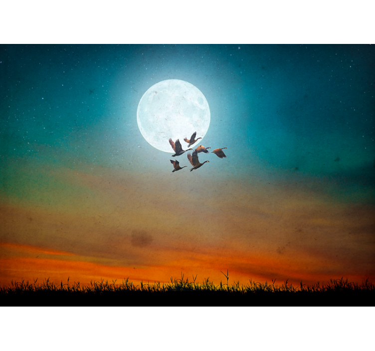 Wall mural nature moonlit sky flock - TenStickers