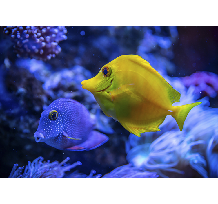 Aquatic Life Scene animals wall mural - TenStickers