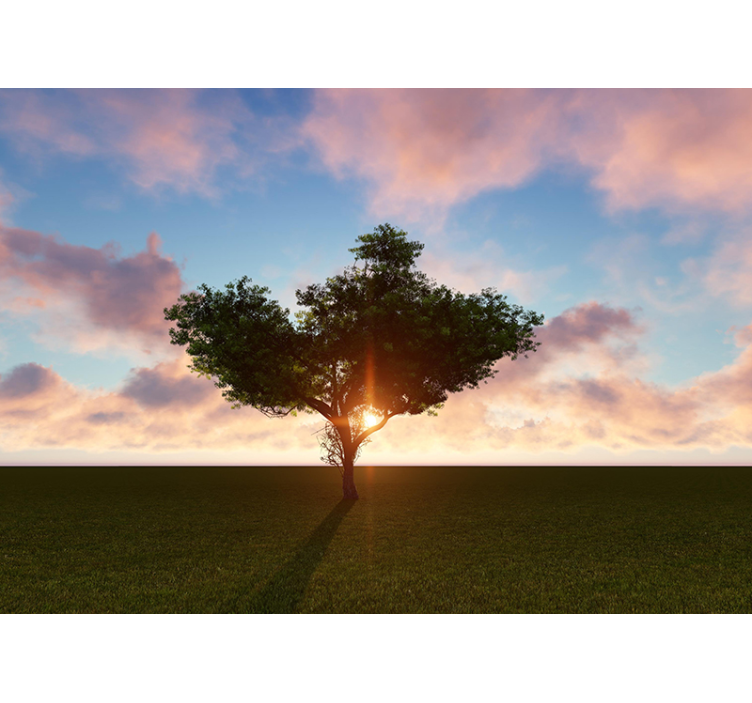 Sunlit Solitary Tree wall mural trees - TenStickers