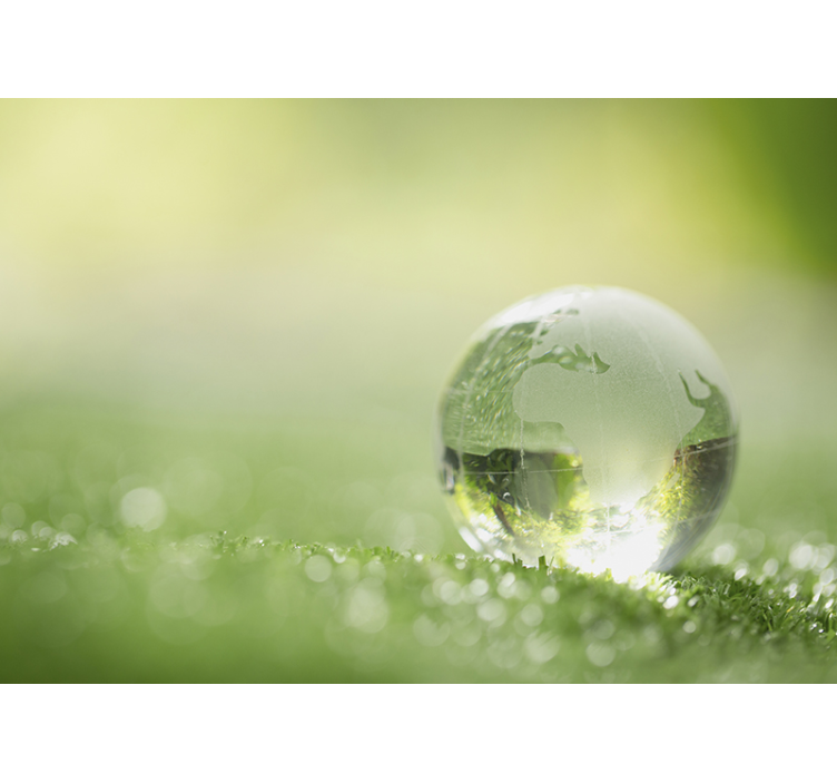 Wall mural nature globe on grass - TenStickers