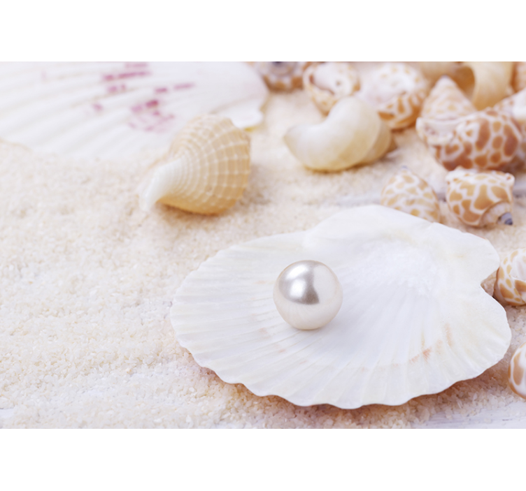 Wall mural nature shells with pearl - TenStickers