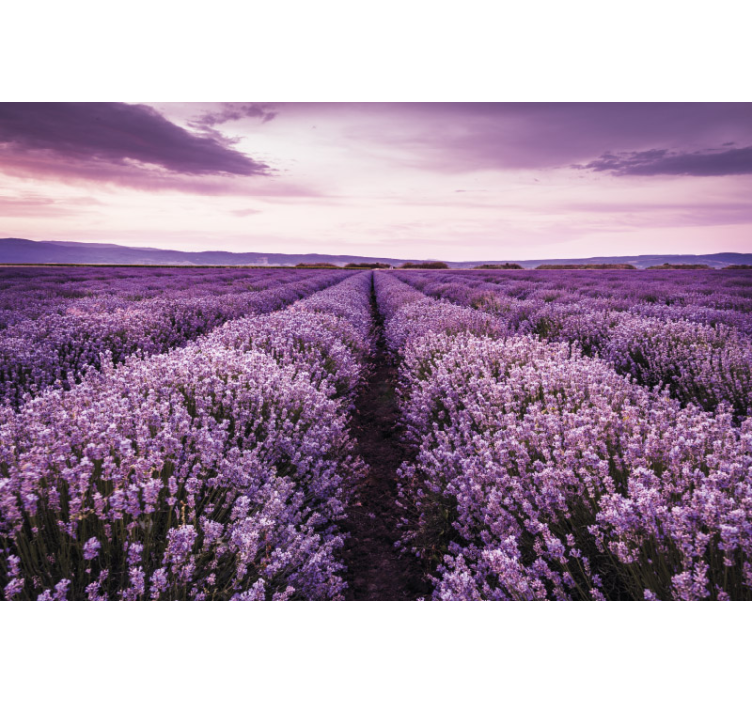 Purple flowers on meadow living room wall mural - TenStickers