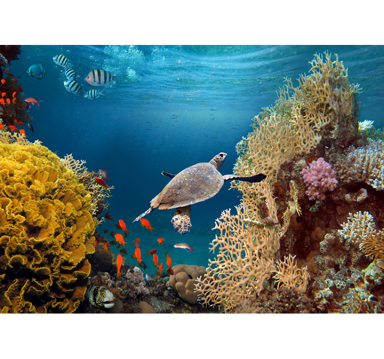 Sea Turtle Underwater animals wall mural - TenStickers