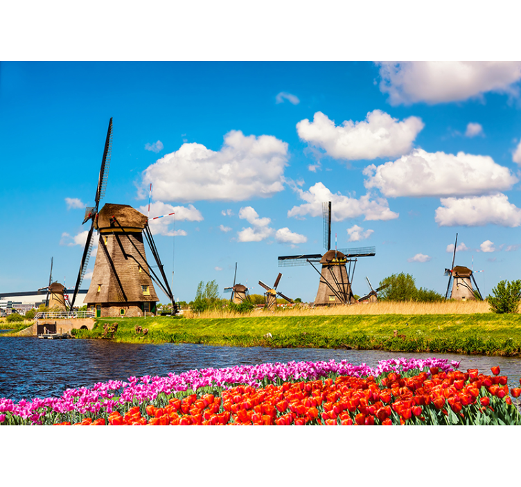 Mills and tulips wall mural - TenStickers