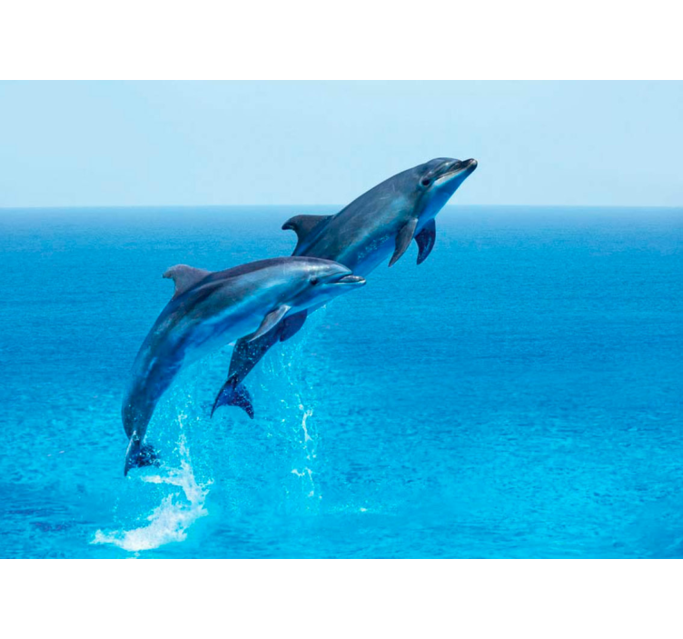 Animals wall mural dolphins leaping playfully - TenStickers