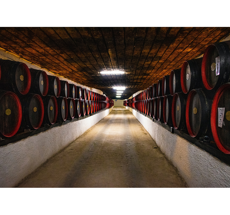 City wall mural wine barrel passage - TenStickers