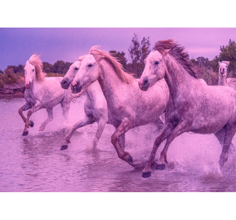 Galloping White Horses animals wall mural - TenStickers