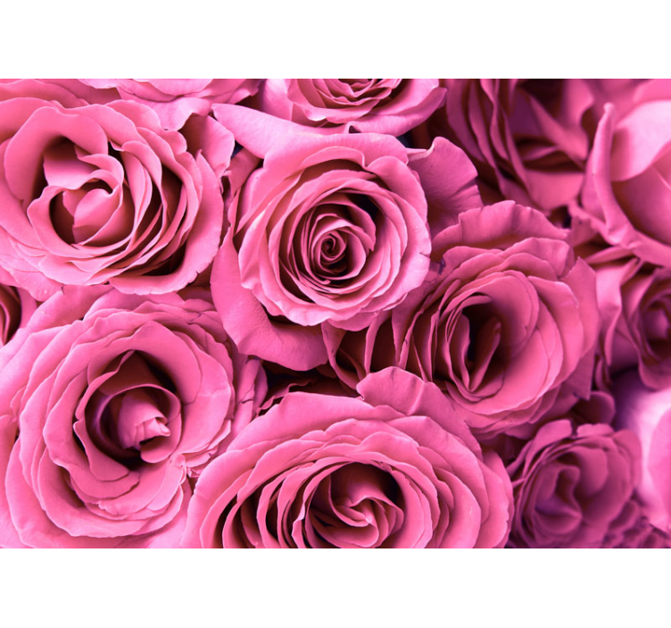 Pink blooms wall mural roses - TenStickers