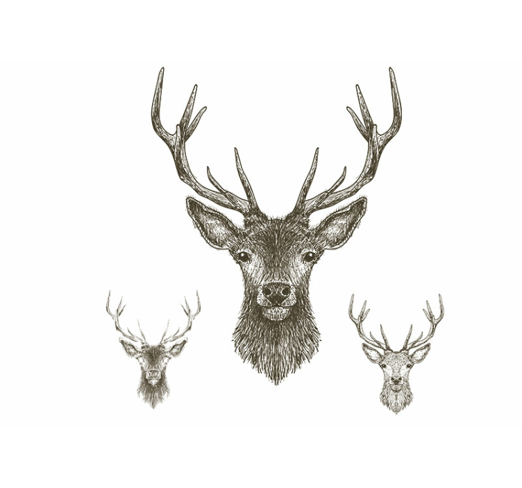 Animals wall mural stag head art - TenStickers