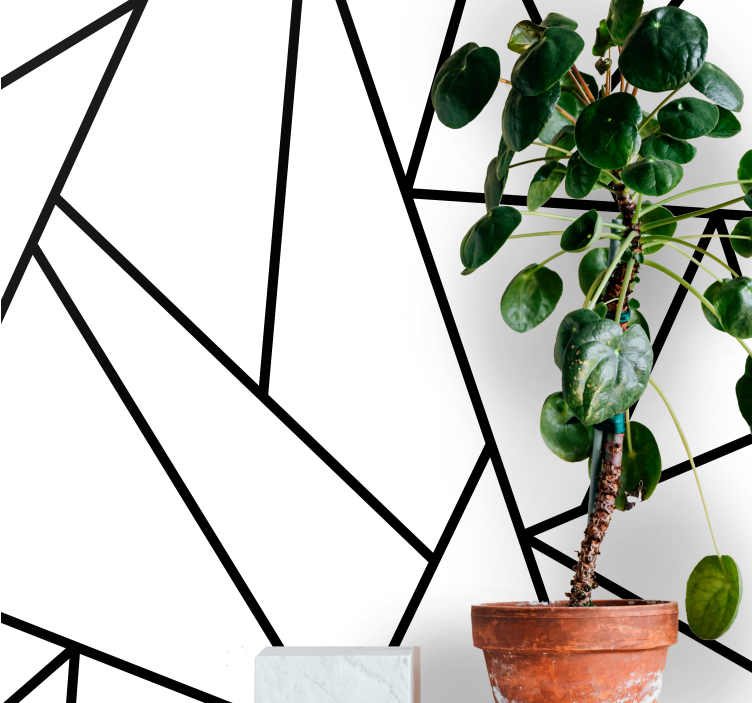 Abstract wall mural geometric black lines - TenStickers