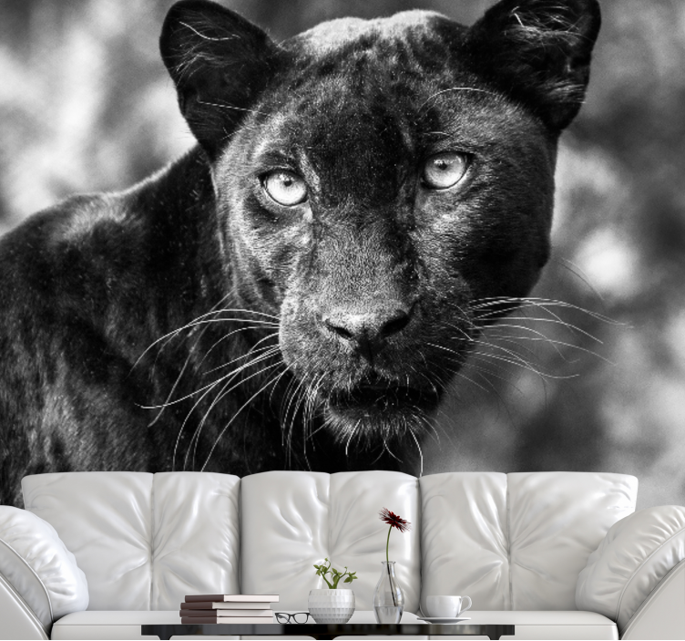Animals wall mural black panther face - TenStickers