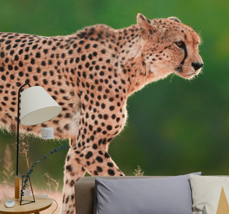 Animals wall mural cheetah in action - TenStickers