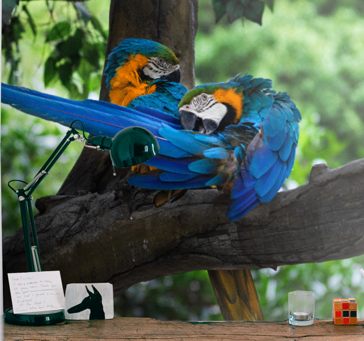 Animals wall mural colorful macaw pair - TenStickers