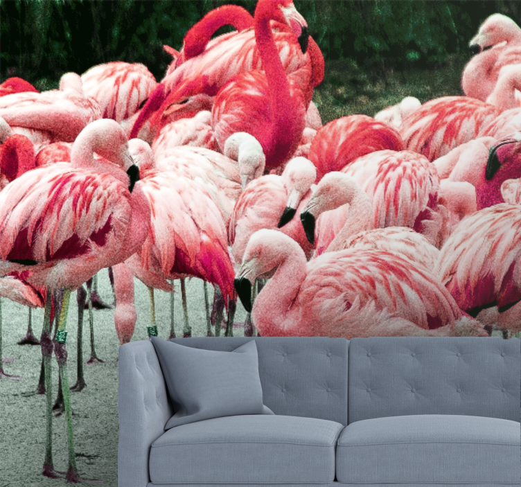 Animals wall mural flamingo flock - TenStickers