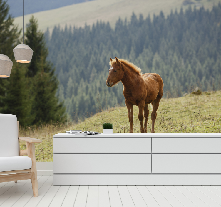Animals wall mural horse in meadow - TenStickers