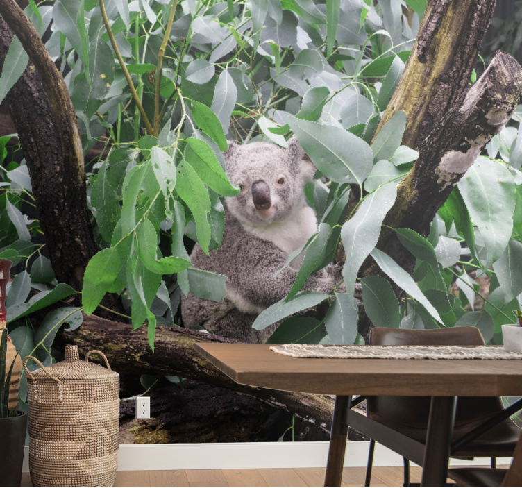 Animals wall mural koala among leaves - TenStickers