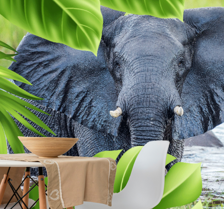 Animals wall mural majestic elephant encounter - TenStickers
