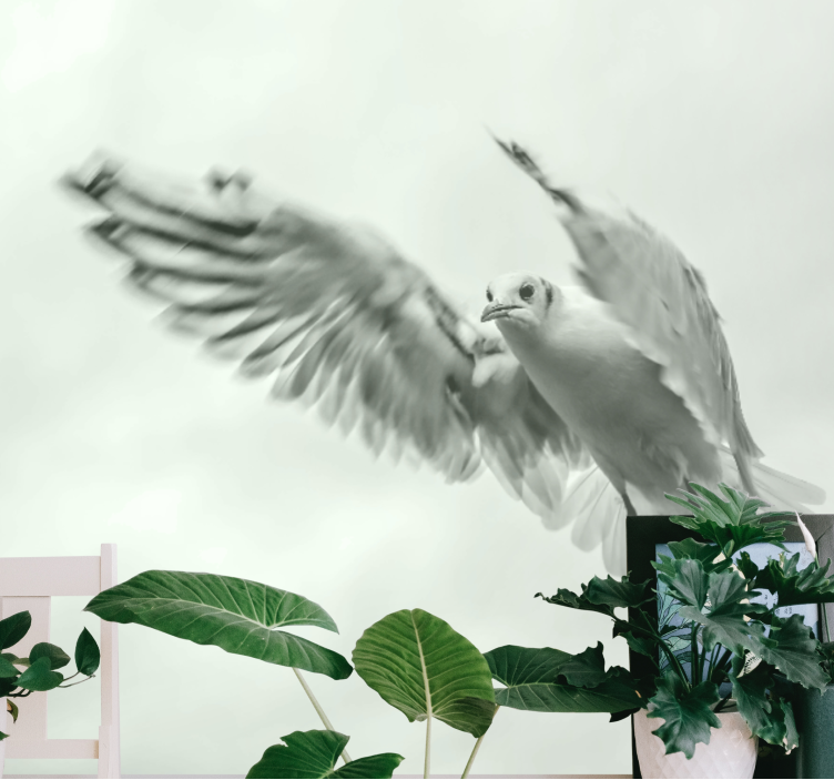 Animals wall mural of soaring white bird - TenStickers
