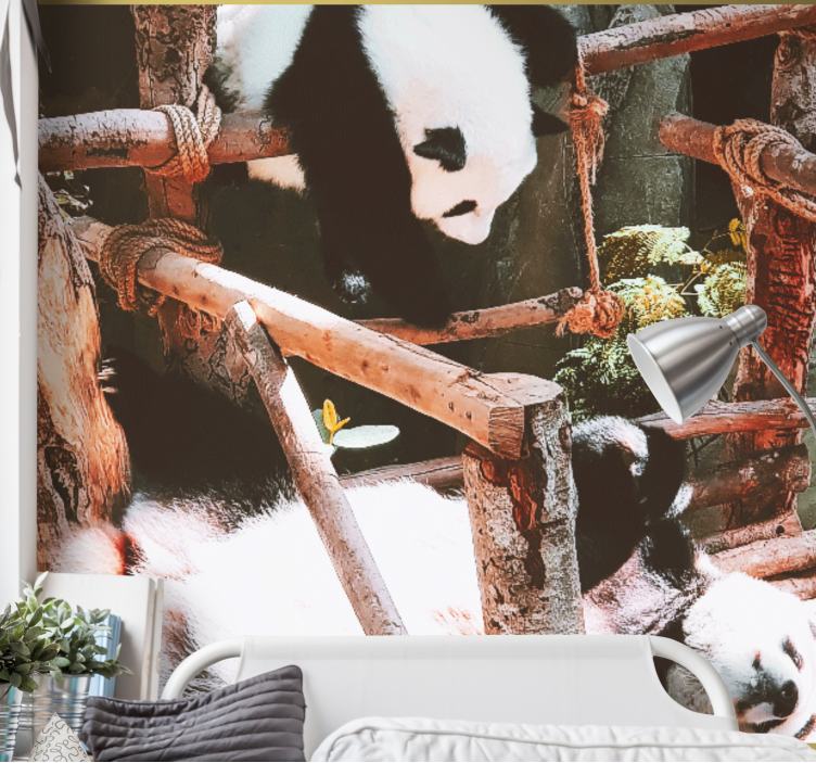 Animals wall mural panda playtime scene - TenStickers