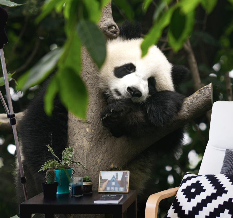 Animals wall mural panda resting in a tree - TenStickers
