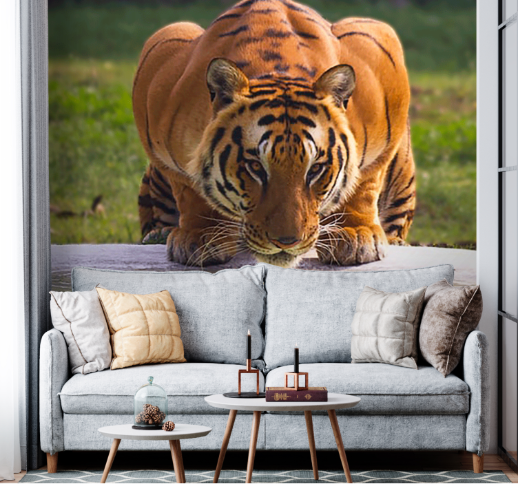 Animals wall mural regal tiger stance - TenStickers
