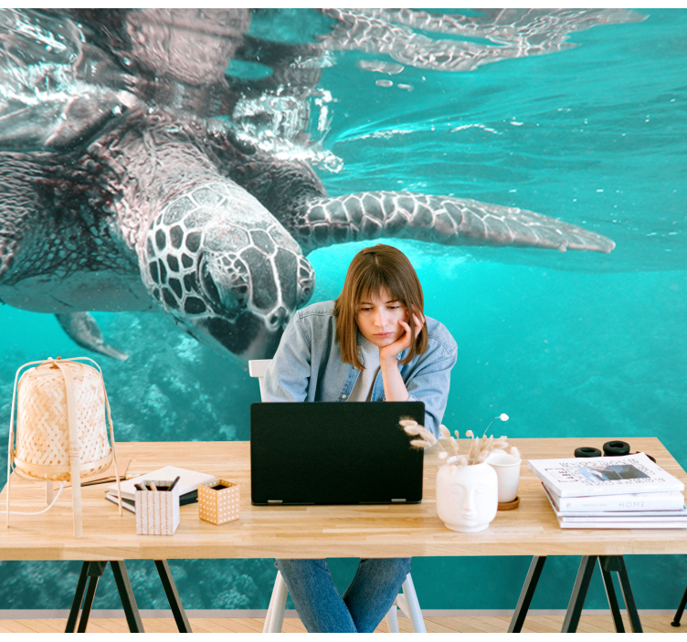 Animals wall mural serene turtle encounter - TenStickers