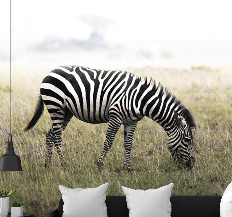 Animals wall mural zebra grazing serenely - TenStickers