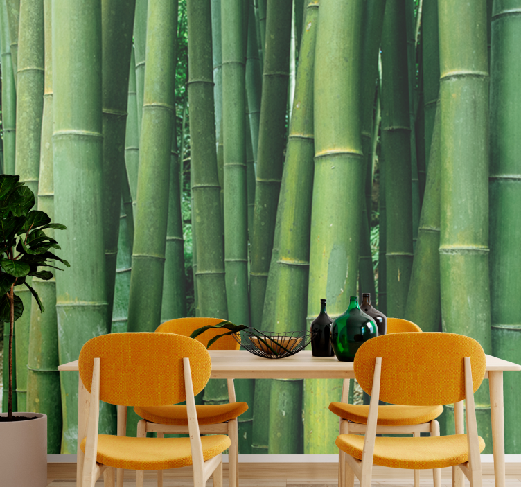 Bamboo wall mural lush forest design - TenStickers