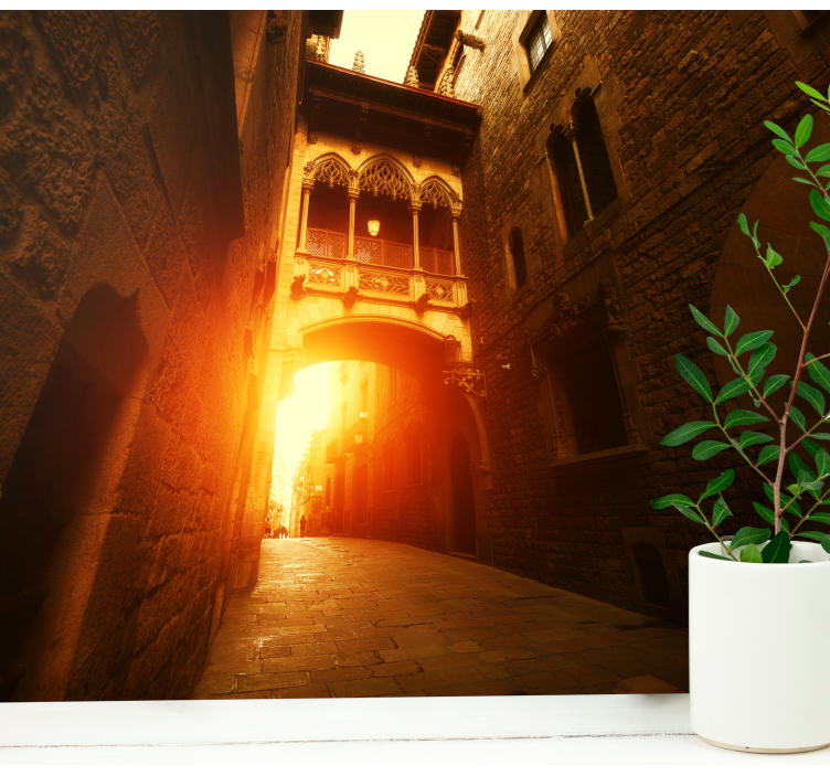 Barcelona wall mural historic gothic archway - TenStickers