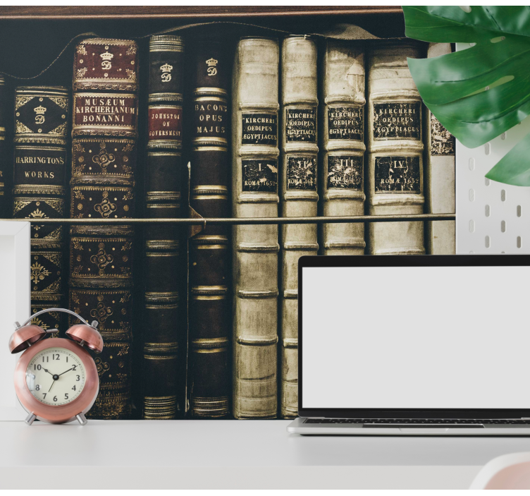 Classic art wall mural antique bookshelf collection - TenStickers