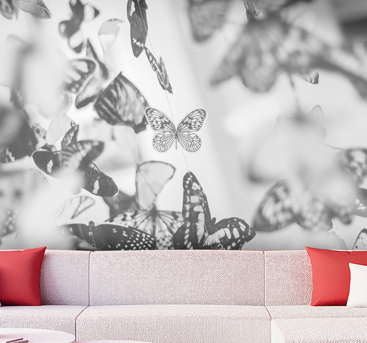 Delicate Butterfly Display animals wall mural - TenStickers