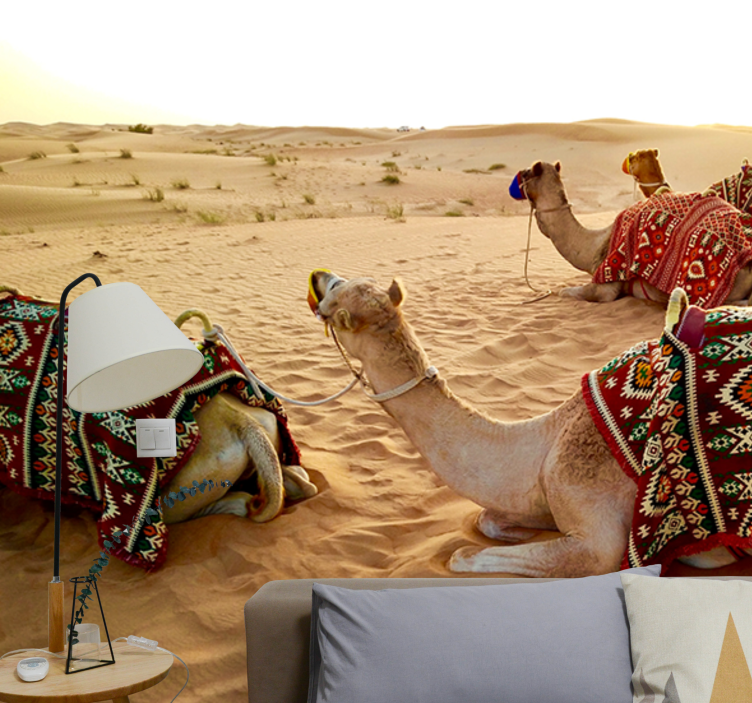 Desert wall mural camels in the desert - TenStickers