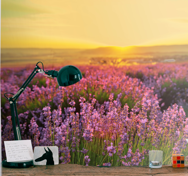 Flower wall mural lavender meadow at dusk - TenStickers