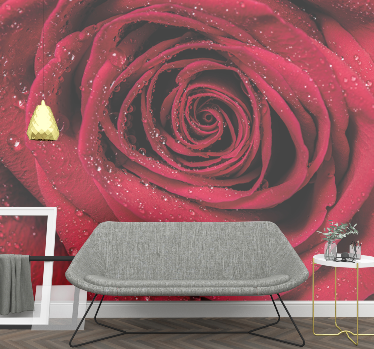 Flower wall mural rose with water droplets - TenStickers