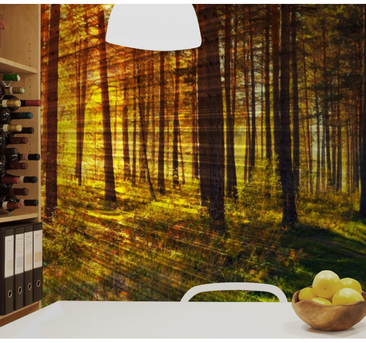 Forest Light Beams Wall Mural - TenStickers