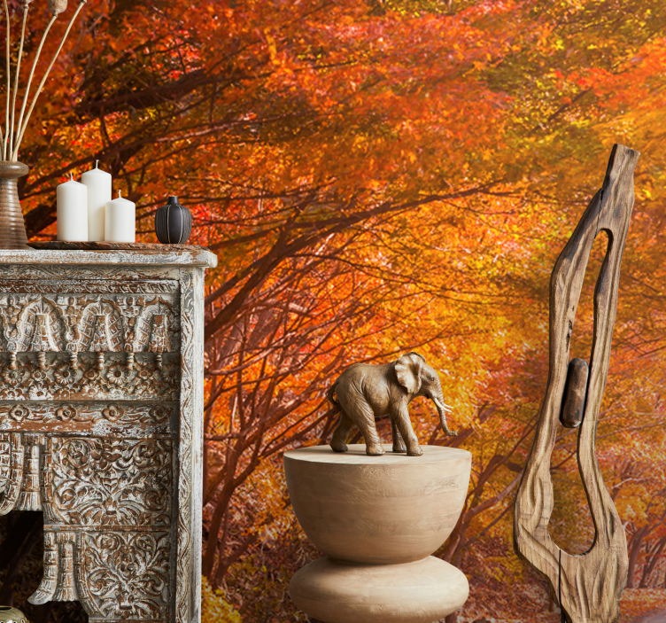 Forest wall mural autumn forest pathway - TenStickers