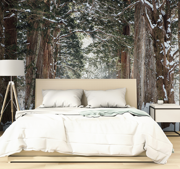 Forest wall mural icy woodland trail - TenStickers