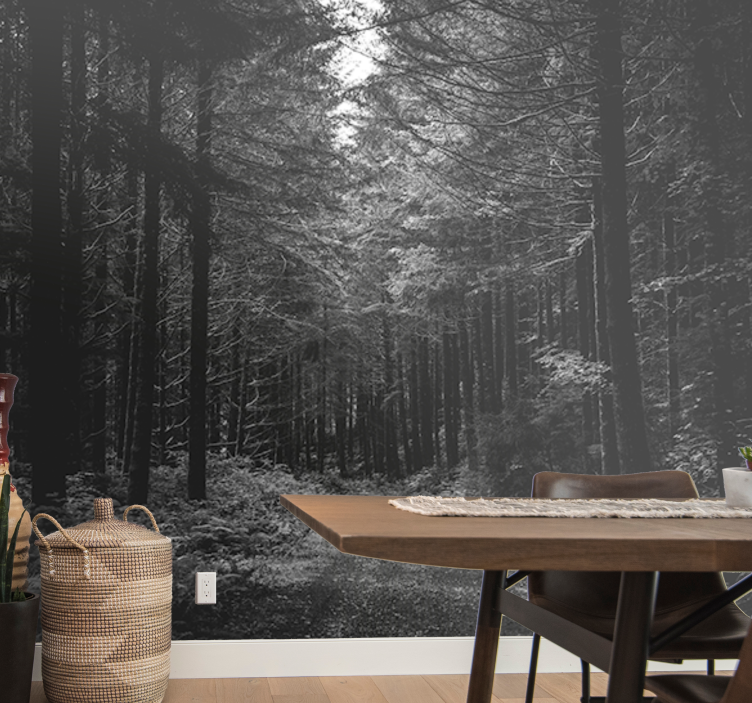 Forest wall mural serene forest path - TenStickers