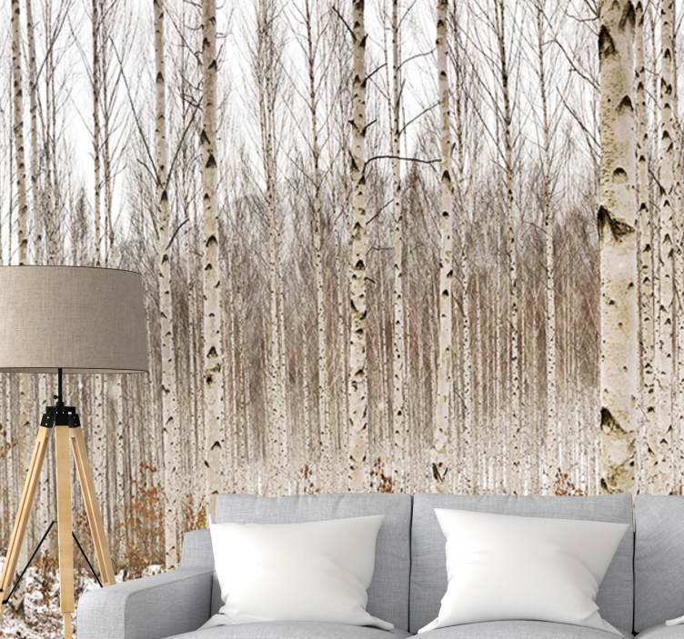 Forest wall mural snowy birch forest - TenStickers