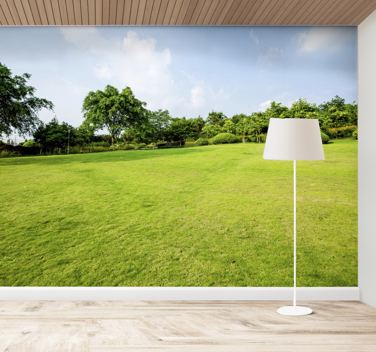 Green Meadow nature wall mural - TenStickers