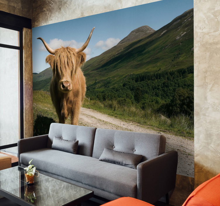 Highland Cattle Portrait animals wall mural - TenStickers