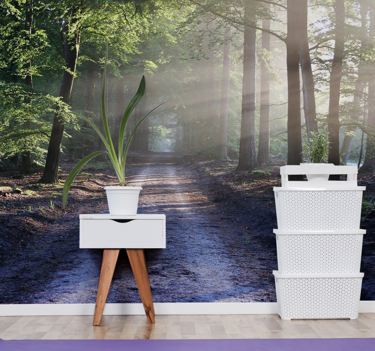 Illuminated Woodland Trail forest wall mural - TenStickers