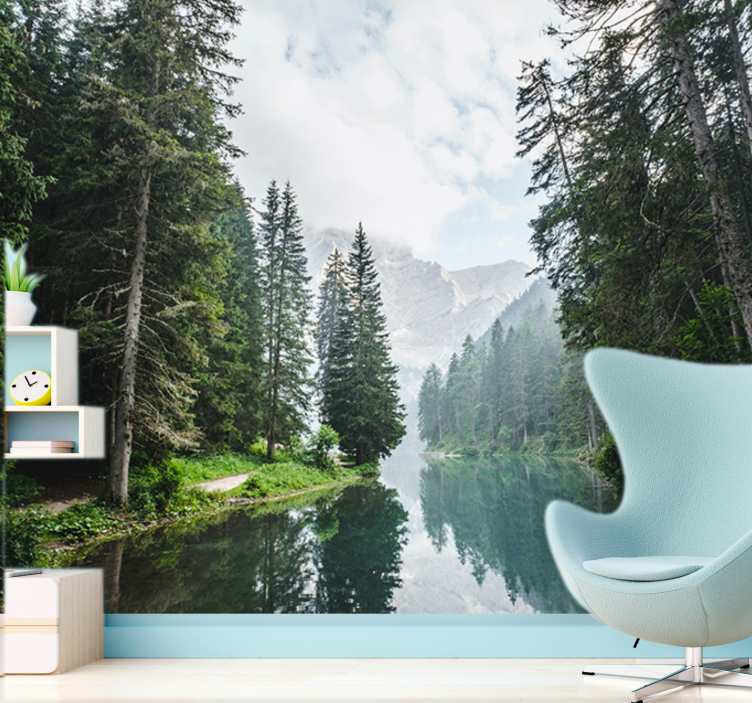 Landscape wall mural tranquil forest echo - TenStickers