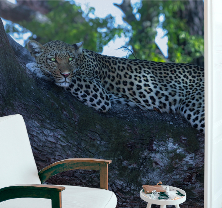 Leopard Resting Comfortably animals wall mural - TenStickers