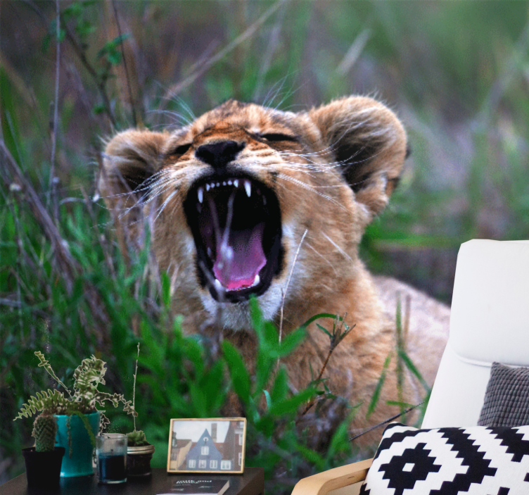 Lion wall mural roaring lion cub - TenStickers
