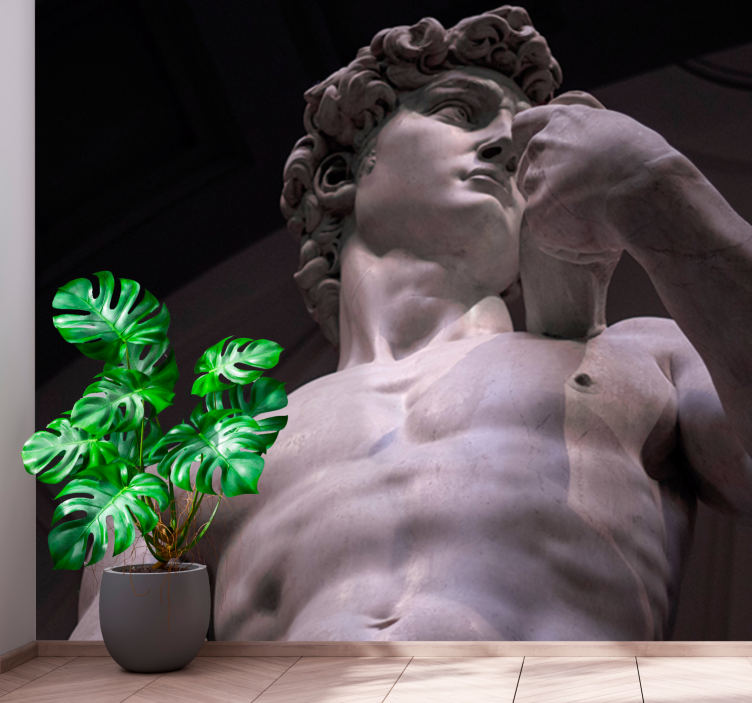 Michelangelo's David Classic Art Wall Mural - TenStickers
