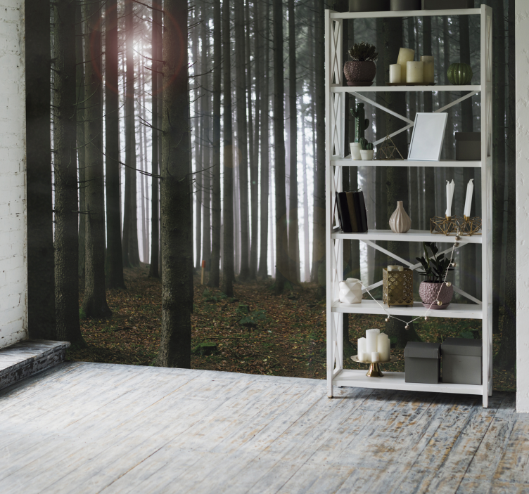 Misty Forest Scene living room wall mural - TenStickers