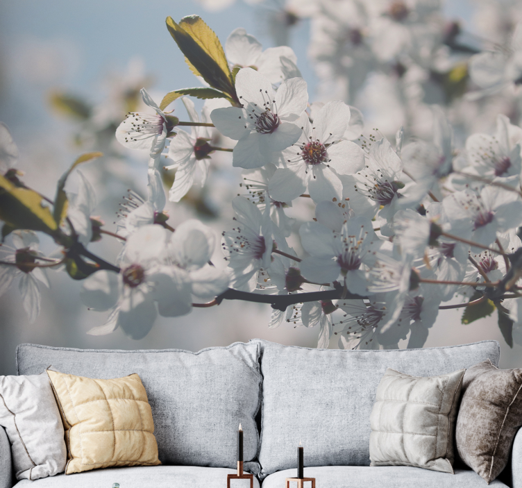 Sakura Blossom Stem flower wall mural - TenStickers